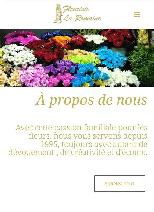 Ancien site Fleuriste La Romaine — avant refonte